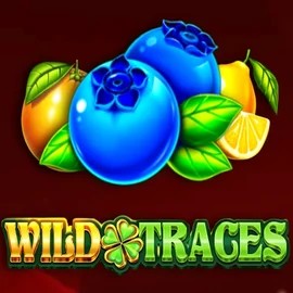 Enjoy Wild Traces by Amusnet Interactive – logo hosted on slotspalaces.com